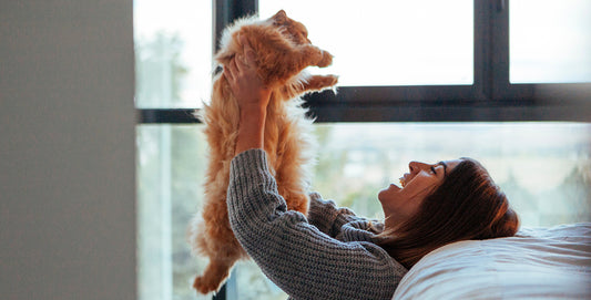 The Healing Power of Pets: How Your Furry Friend Can Improve Your Sleep