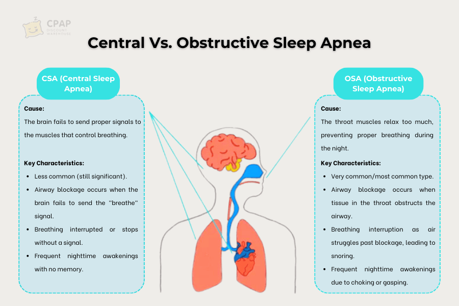 What Is Central Sleep Apnoea Causes Symptoms And Treatments CPAP what-is-central-sleep-apnoea-causes-symptoms-and-treatments-cpap
