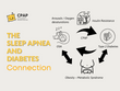 Sleep Apnea and Diabetes